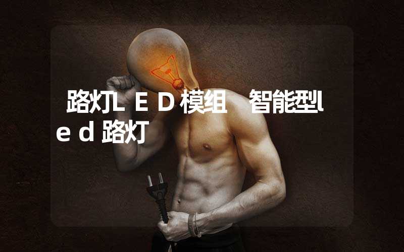 路灯LED模组 智能型led路灯